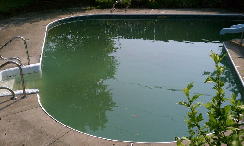 my pool is starting to turn green